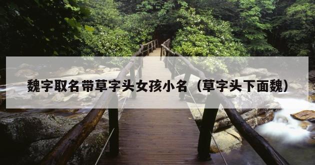 魏字取名带草字头女孩小名（草字头下面魏）