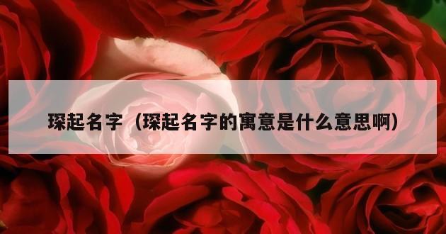 琛起名字（琛起名字的寓意是什么意思啊）