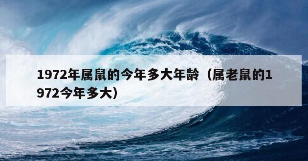 1972年属鼠的今年多大年龄（属老鼠的1972今年多大）