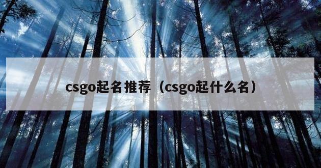 csgo起名推荐（csgo起什么名）