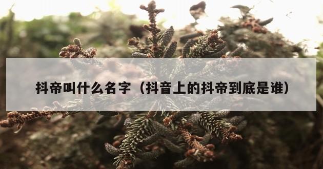 抖帝叫什么名字（抖音上的抖帝到底是谁）