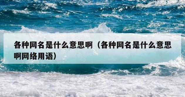 各种网名是什么意思啊（各种网名是什么意思啊网络用语）