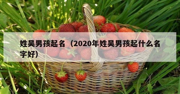 姓吴男孩起名（2020年姓吴男孩起什么名字好）