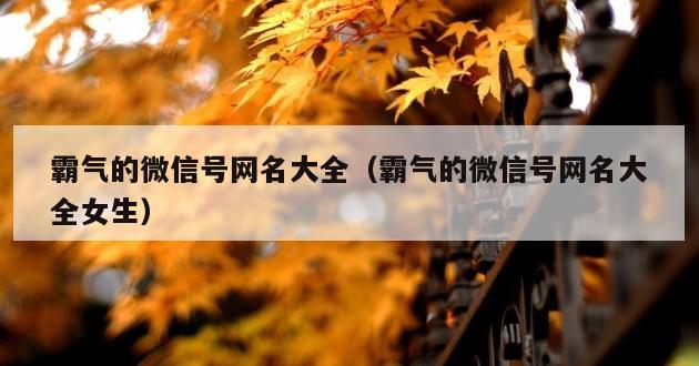 霸气的微信号网名大全（霸气的微信号网名大全女生）