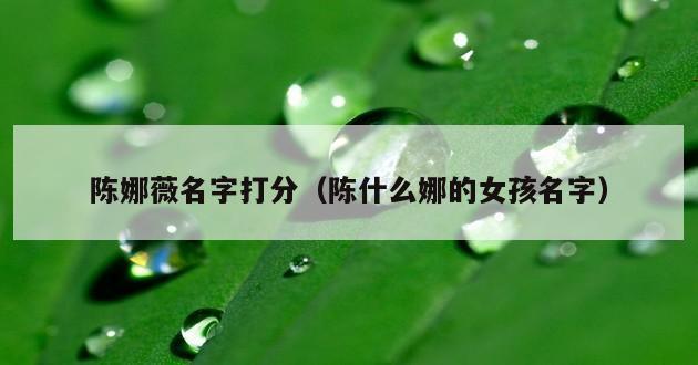 陈娜薇名字打分（陈什么娜的女孩名字）