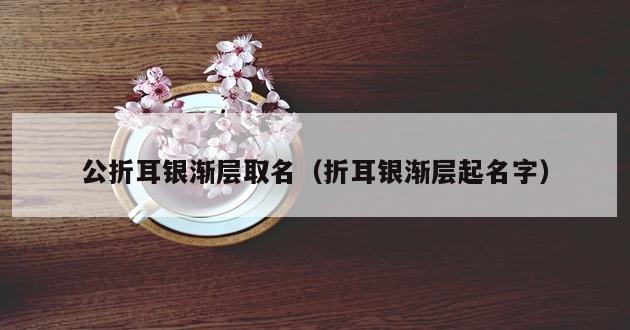 公折耳银渐层取名（折耳银渐层起名字）