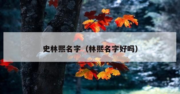 史林熙名字（林熙名字好吗）