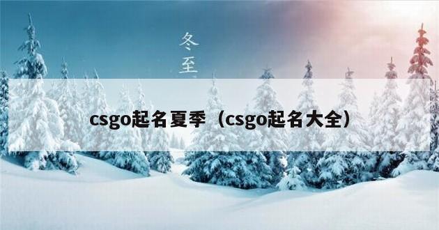 csgo起名夏季（csgo起名大全）