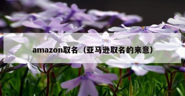 amazon取名（亚马逊取名的来意）