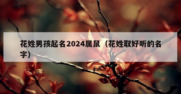 花姓男孩起名2024属鼠（花姓取好听的名字）