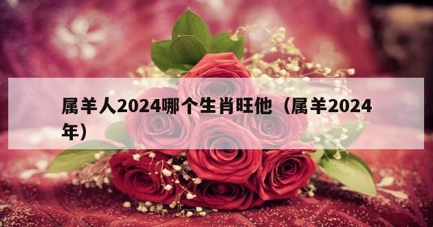 属羊人2024哪个生肖旺他（属羊2024年）