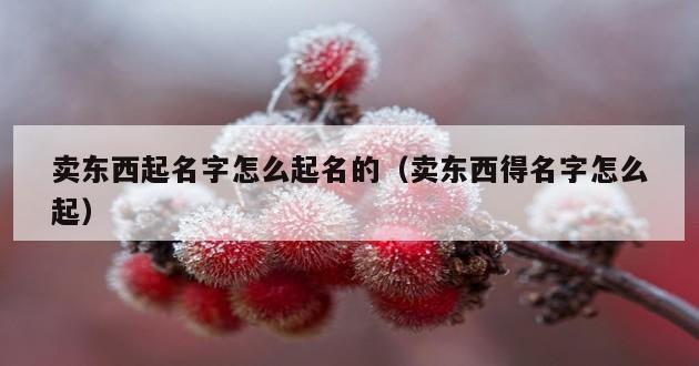 卖东西起名字怎么起名的（卖东西得名字怎么起）