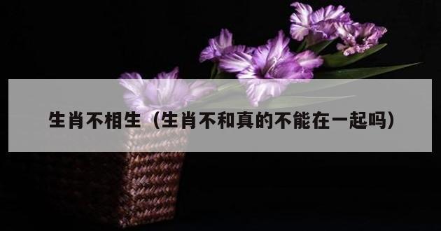 生肖不相生（生肖不和真的不能在一起吗）