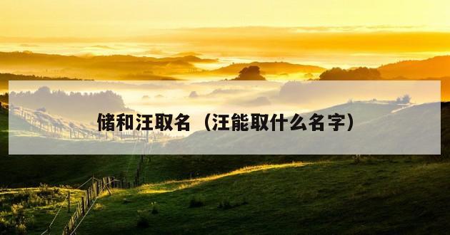 储和汪取名（汪能取什么名字）