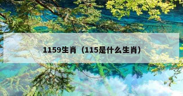 1159生肖（115是什么生肖）