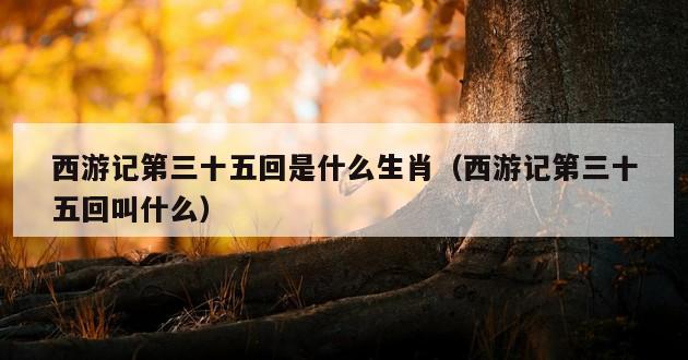 西游记第三十五回是什么生肖（西游记第三十五回叫什么）