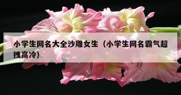 小学生网名大全沙雕女生（小学生网名霸气超拽高冷）