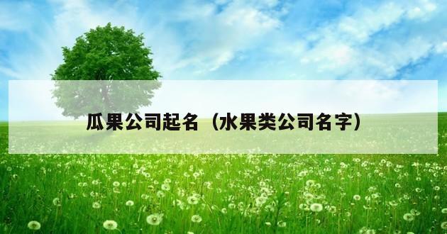 瓜果公司起名（水果类公司名字）