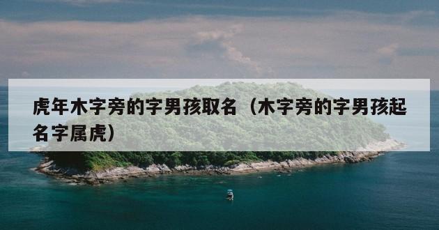 虎年木字旁的字男孩取名（木字旁的字男孩起名字属虎）