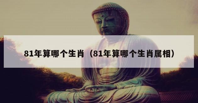 81年算哪个生肖（81年算哪个生肖属相）