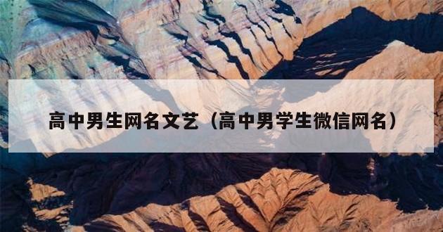 高中男生网名文艺（高中男学生微信网名）