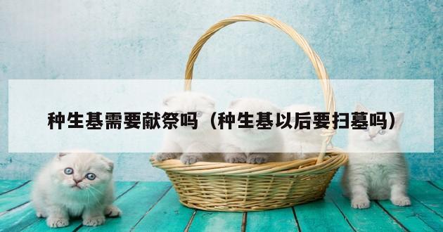 种生基需要献祭吗（种生基以后要扫墓吗）