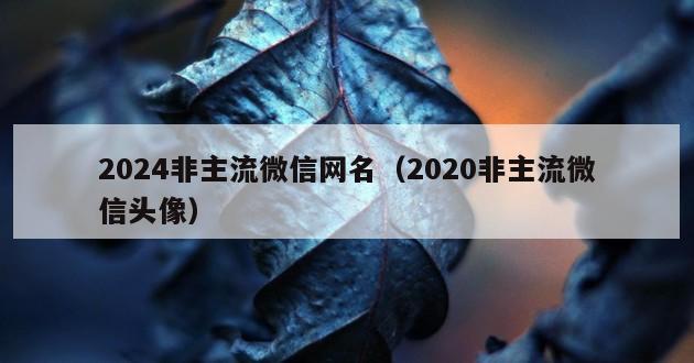 2024非主流微信网名（2020非主流微信头像）