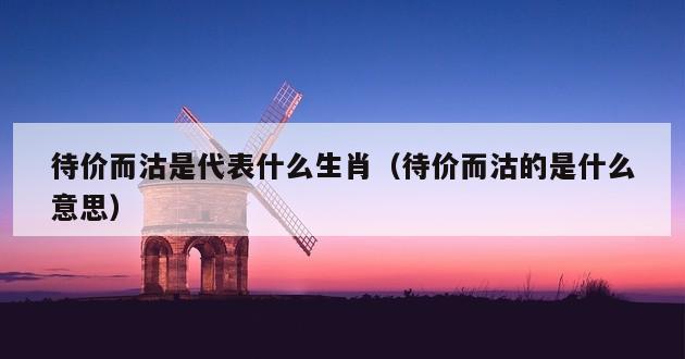 待价而沽是代表什么生肖（待价而沽的是什么意思）