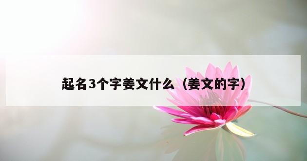 起名3个字姜文什么（姜文的字）