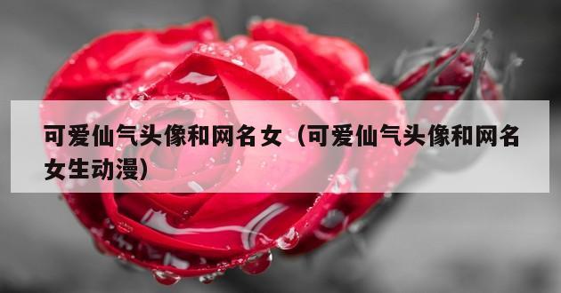 可爱仙气头像和网名女（可爱仙气头像和网名女生动漫）