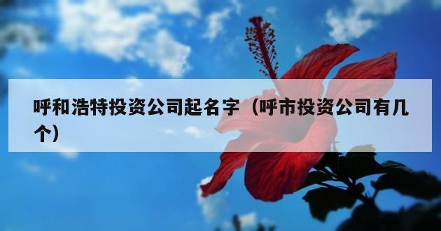 呼和浩特投资公司起名字（呼市投资公司有几个）