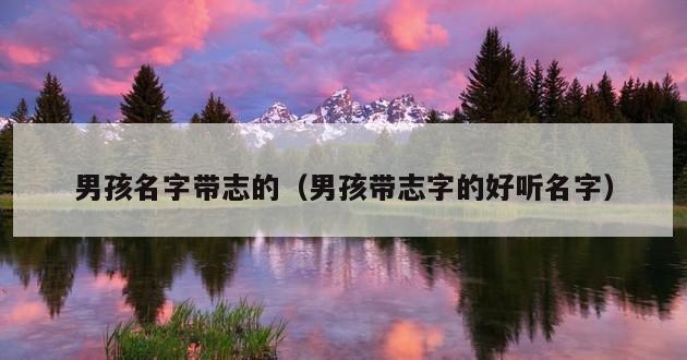 男孩名字带志的（男孩带志字的好听名字）