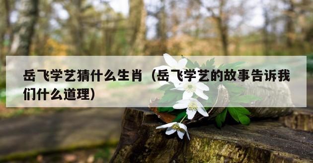 岳飞学艺猜什么生肖（岳飞学艺的故事告诉我们什么道理）