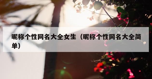 昵称个性网名大全女生（昵称个性网名大全简单）