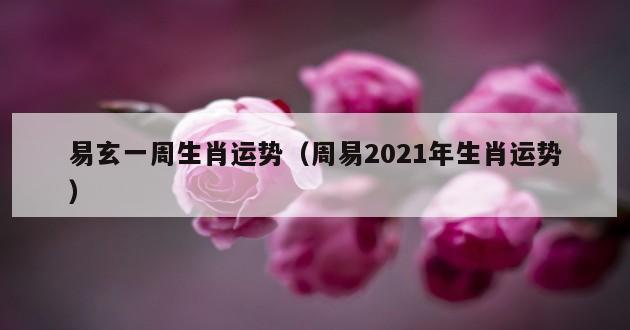 易玄一周生肖运势（周易2021年生肖运势）