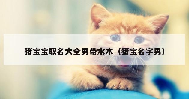 猪宝宝取名大全男带水木（猪宝名字男）