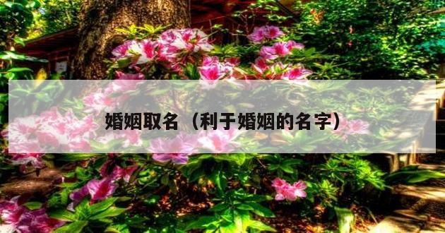 婚姻取名（利于婚姻的名字）