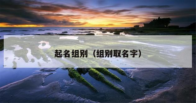 起名组别（组别取名字）