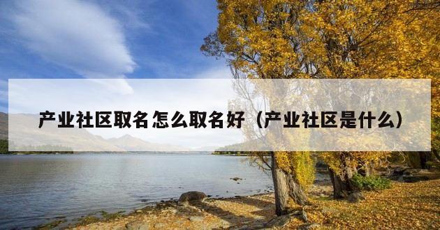 产业社区取名怎么取名好（产业社区是什么）