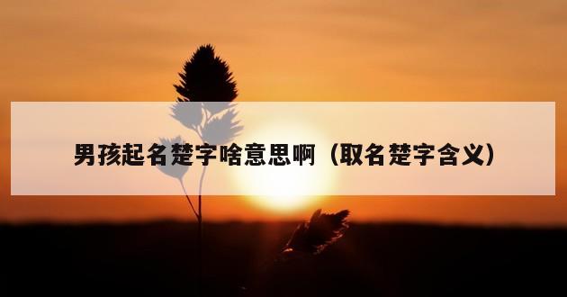 男孩起名楚字啥意思啊（取名楚字含义）