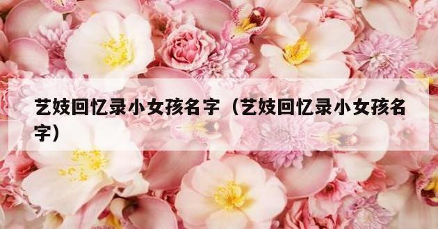 艺妓回忆录小女孩名字（艺妓回忆录小女孩名字）