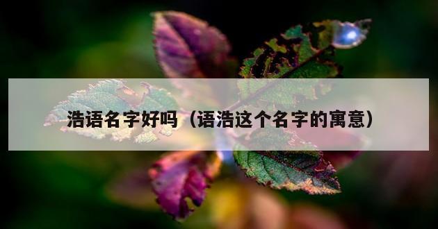 浩语名字好吗（语浩这个名字的寓意）