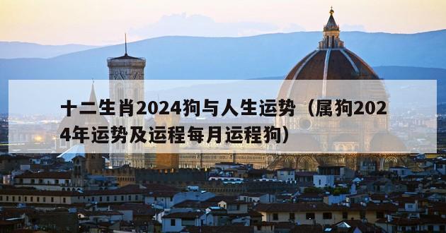 十二生肖2024狗与人生运势（属狗2024年运势及运程每月运程狗）