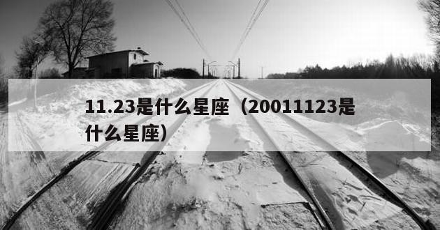 11.23是什么星座（20011123是什么星座）