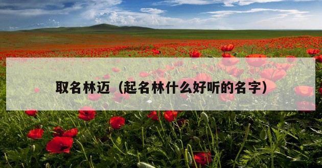 取名林迈（起名林什么好听的名字）