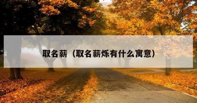 取名薪（取名薪烁有什么寓意）