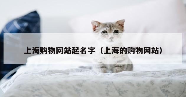 上海购物网站起名字（上海的购物网站）