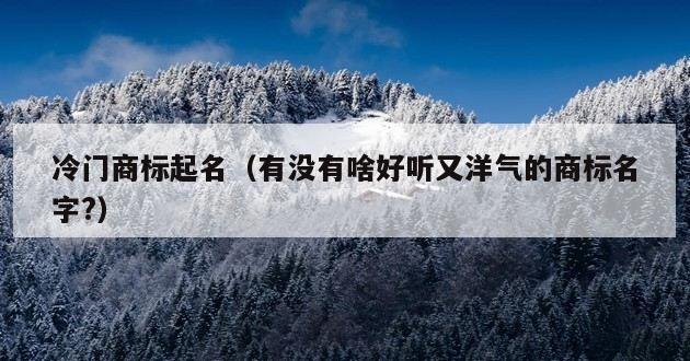 冷门商标起名（有没有啥好听又洋气的商标名字?）