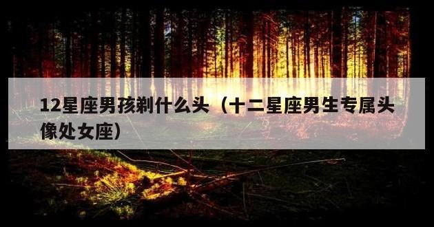 12星座男孩剃什么头（十二星座男生专属头像处女座）