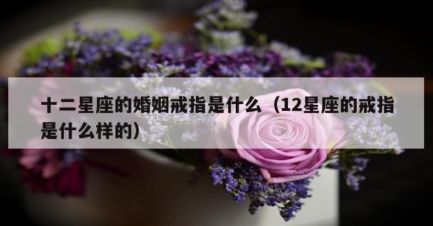 十二星座的婚姻戒指是什么（12星座的戒指是什么样的）